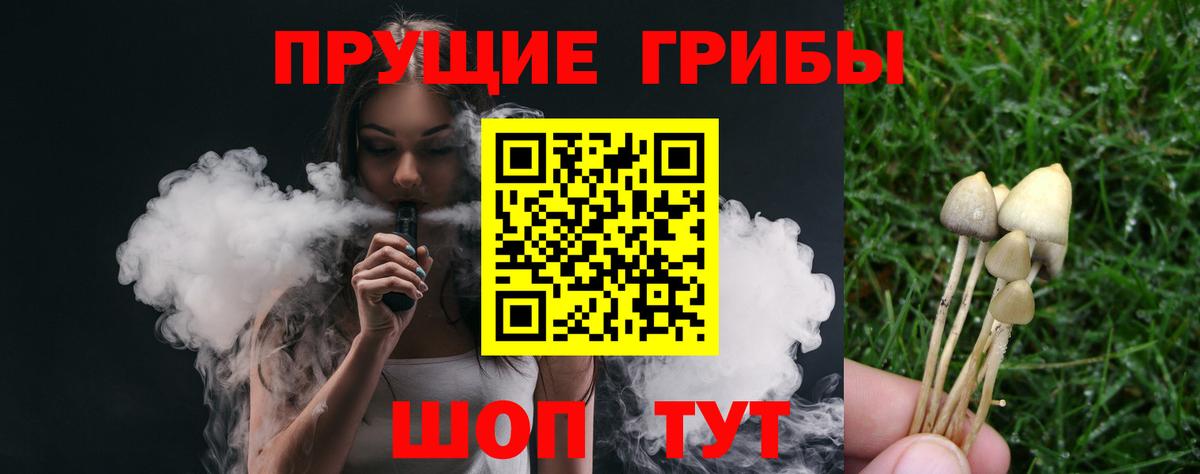 Галлюциногенные грибы Psilocybe Севастополь